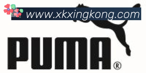 xingkong合作伙伴